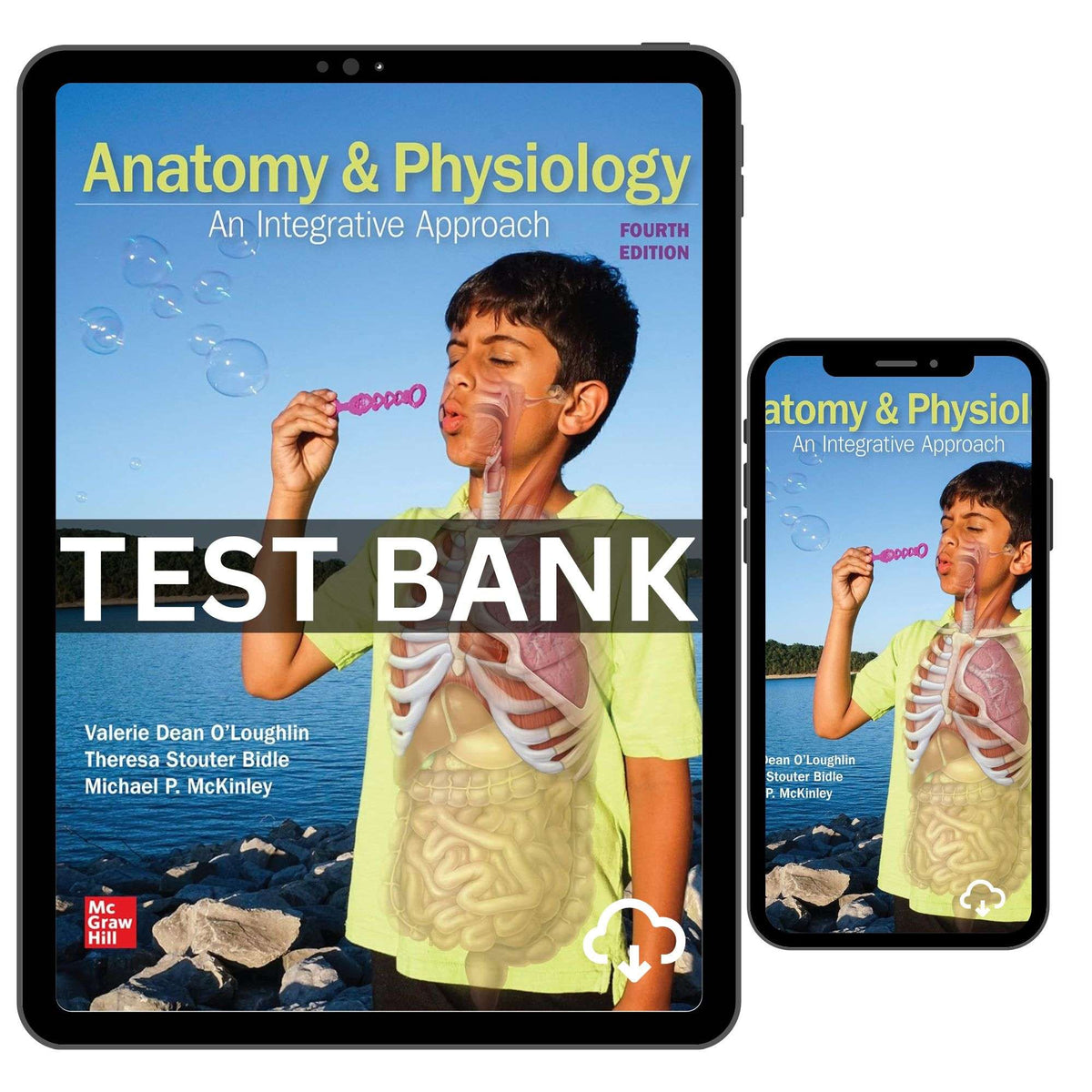 Anatomy & Physiology An Integrative Approach 4th Test Bank