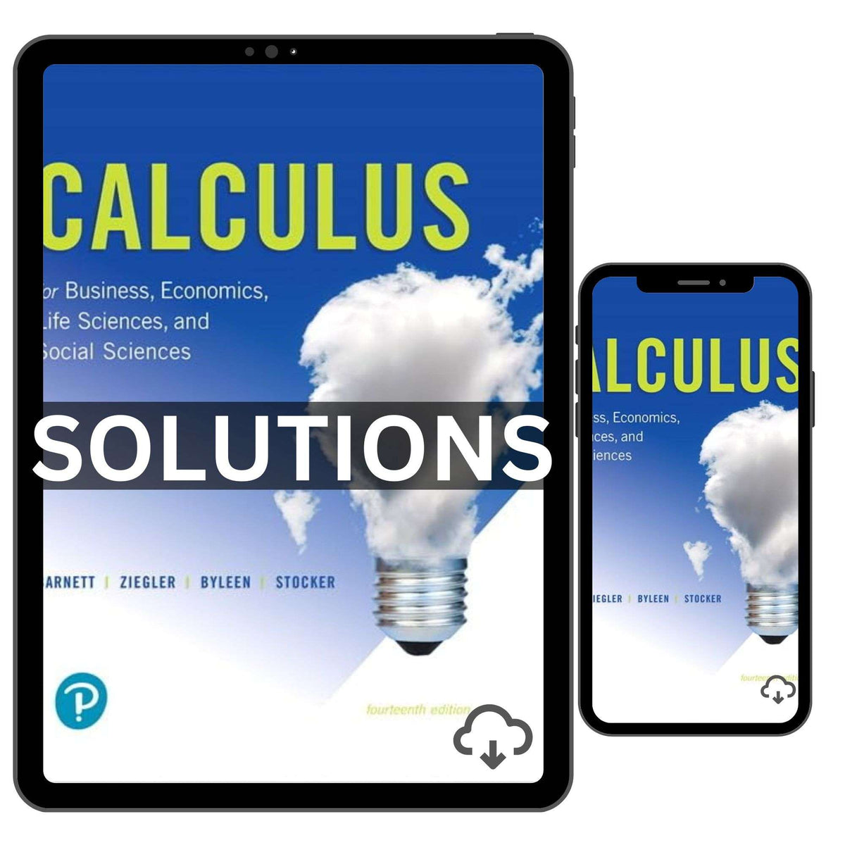 Calculus For Business Economics Life Sciences And Social Sciences 14th Solutions Manual
