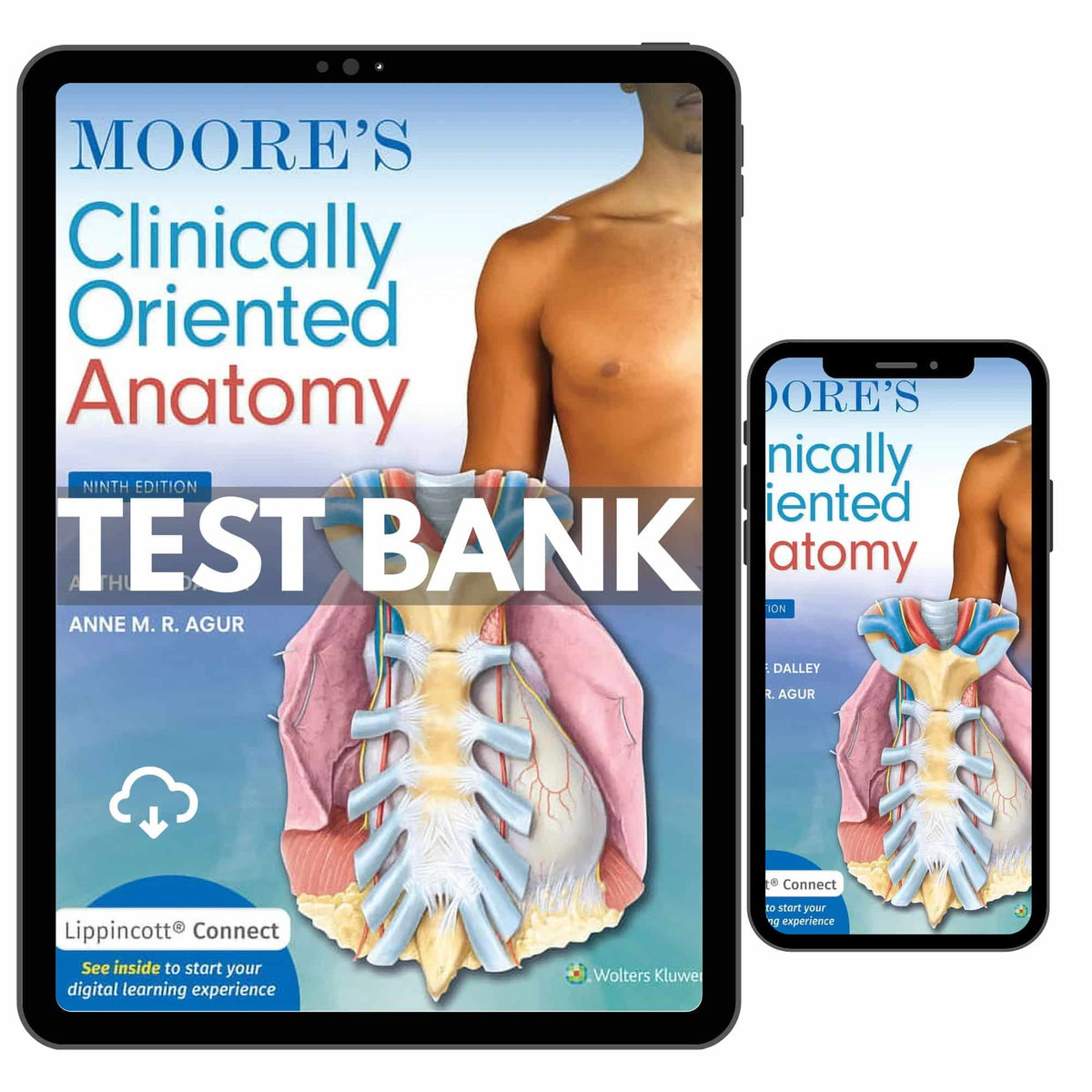 Test Bank for Clinically Oriented Anatomy, 9th Edition