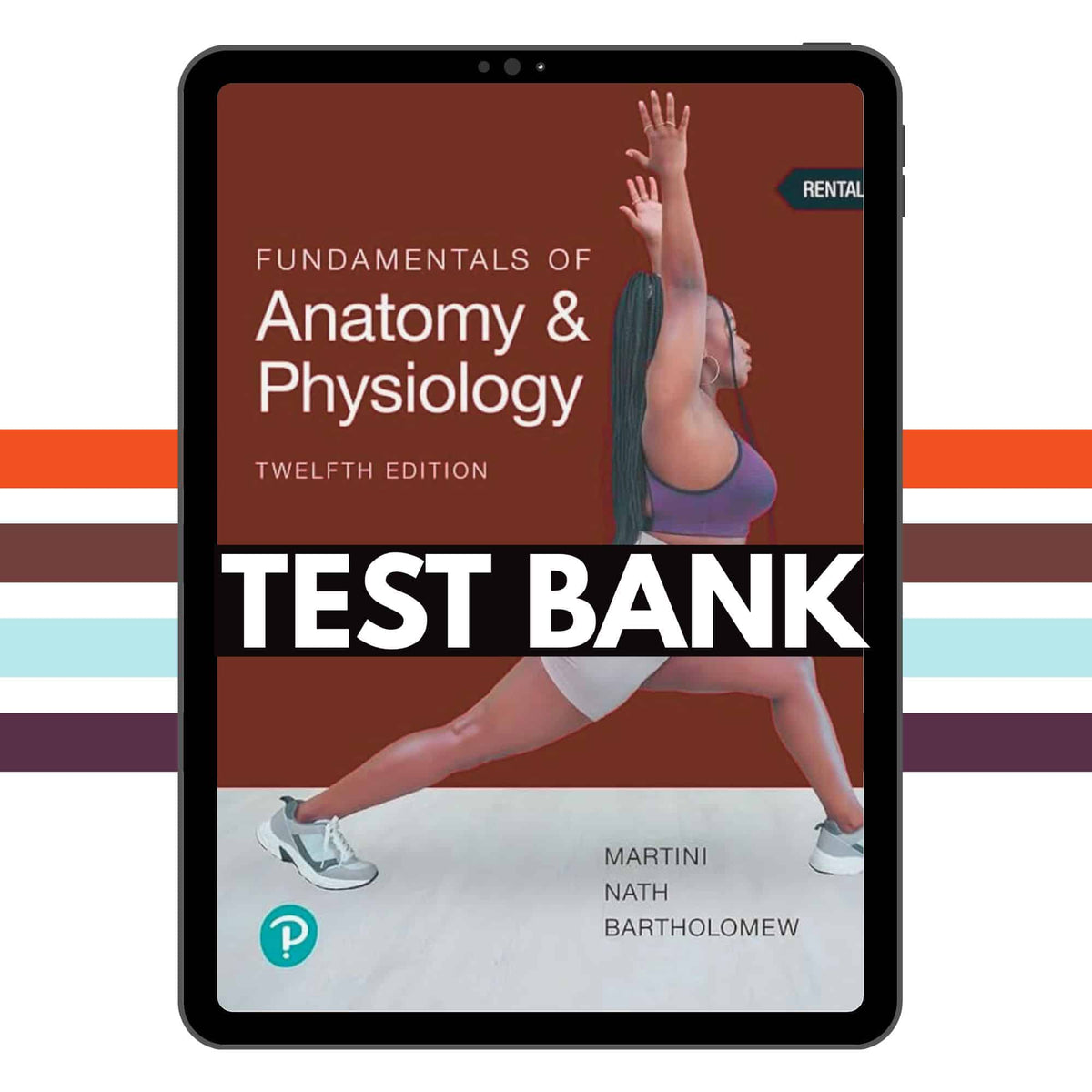 Fundamentals of Anatomy and Physiology 12th Edition Test Bank