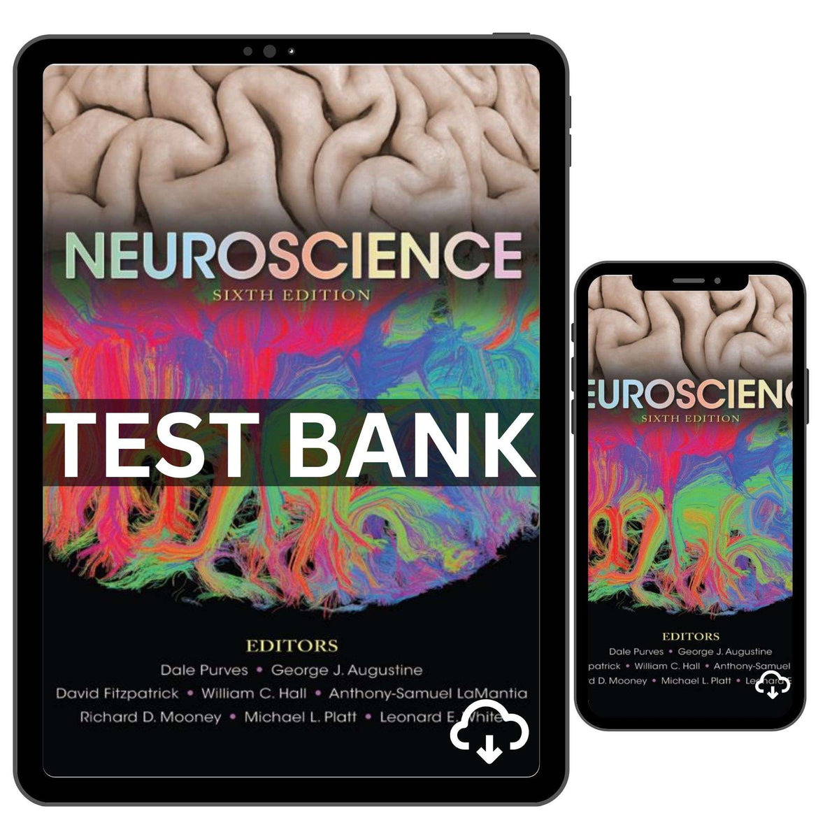 Test Bank Neuroscience 6th Edition