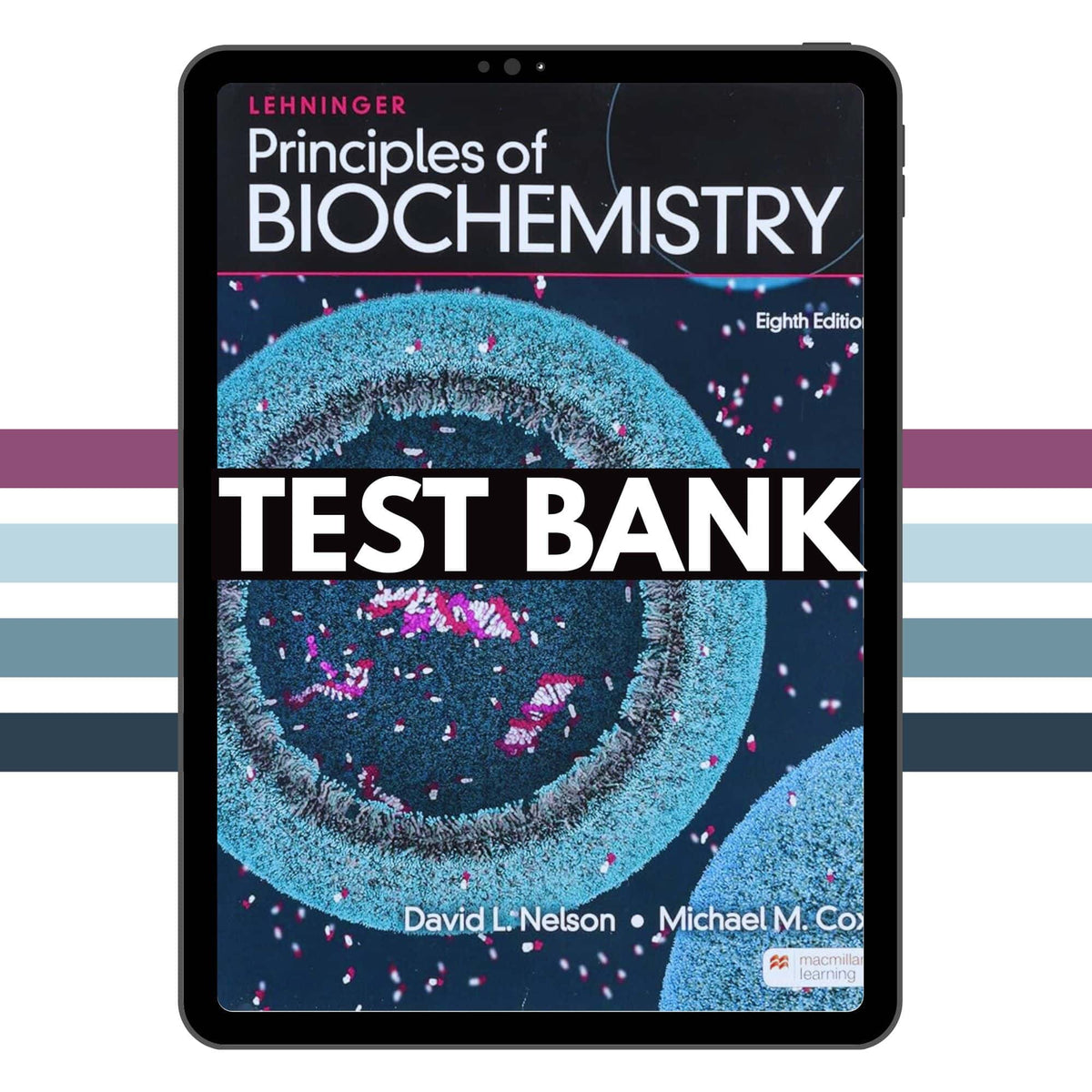 Test Bank for Principles Of Biochemistry 8th Edition By David L. Nelson