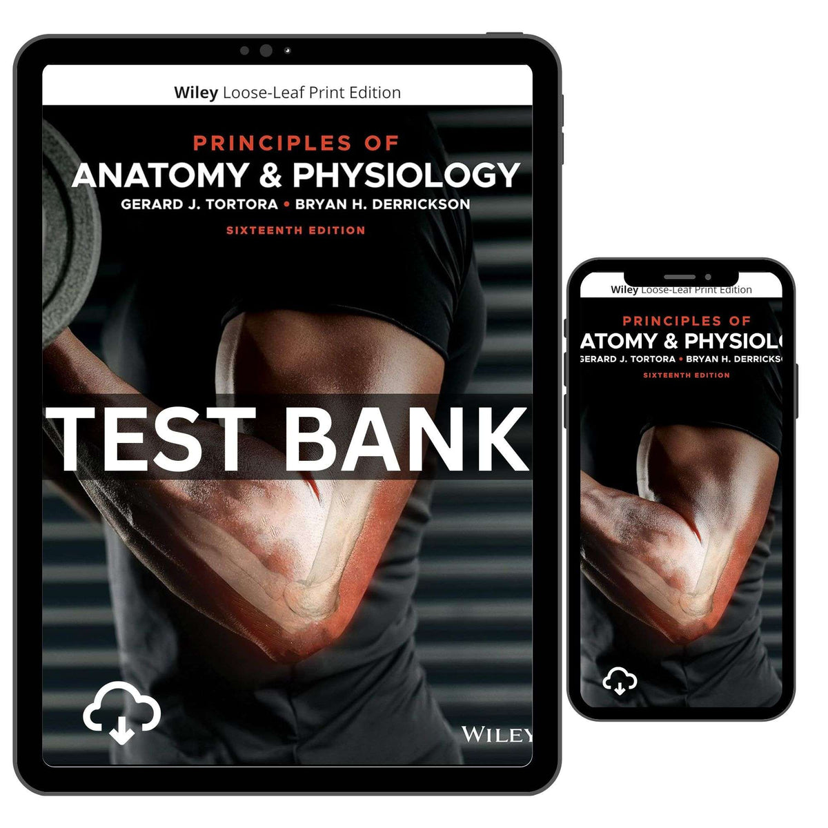 Principles of Anatomy and Physiology, 16th Test Bank