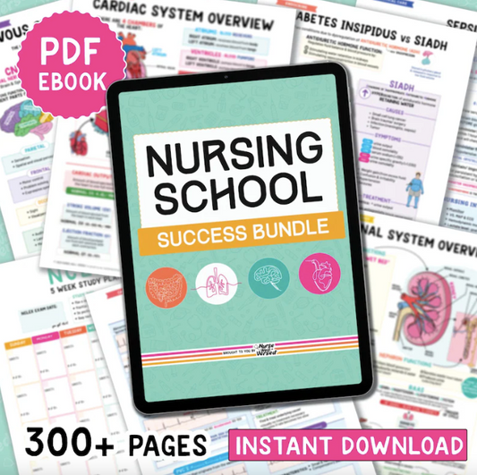 Nursing School Notes Success Bundle 2025