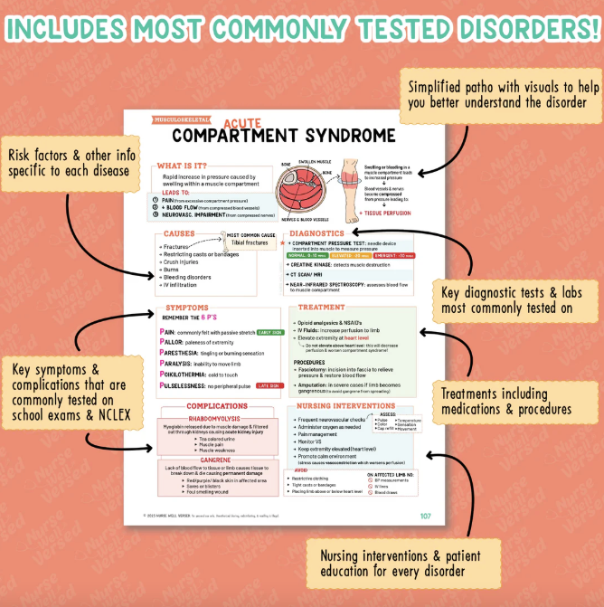 Musculoskeletal Bundle