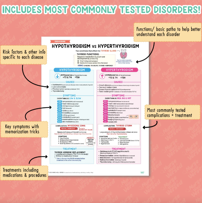 Endocrine Bundle