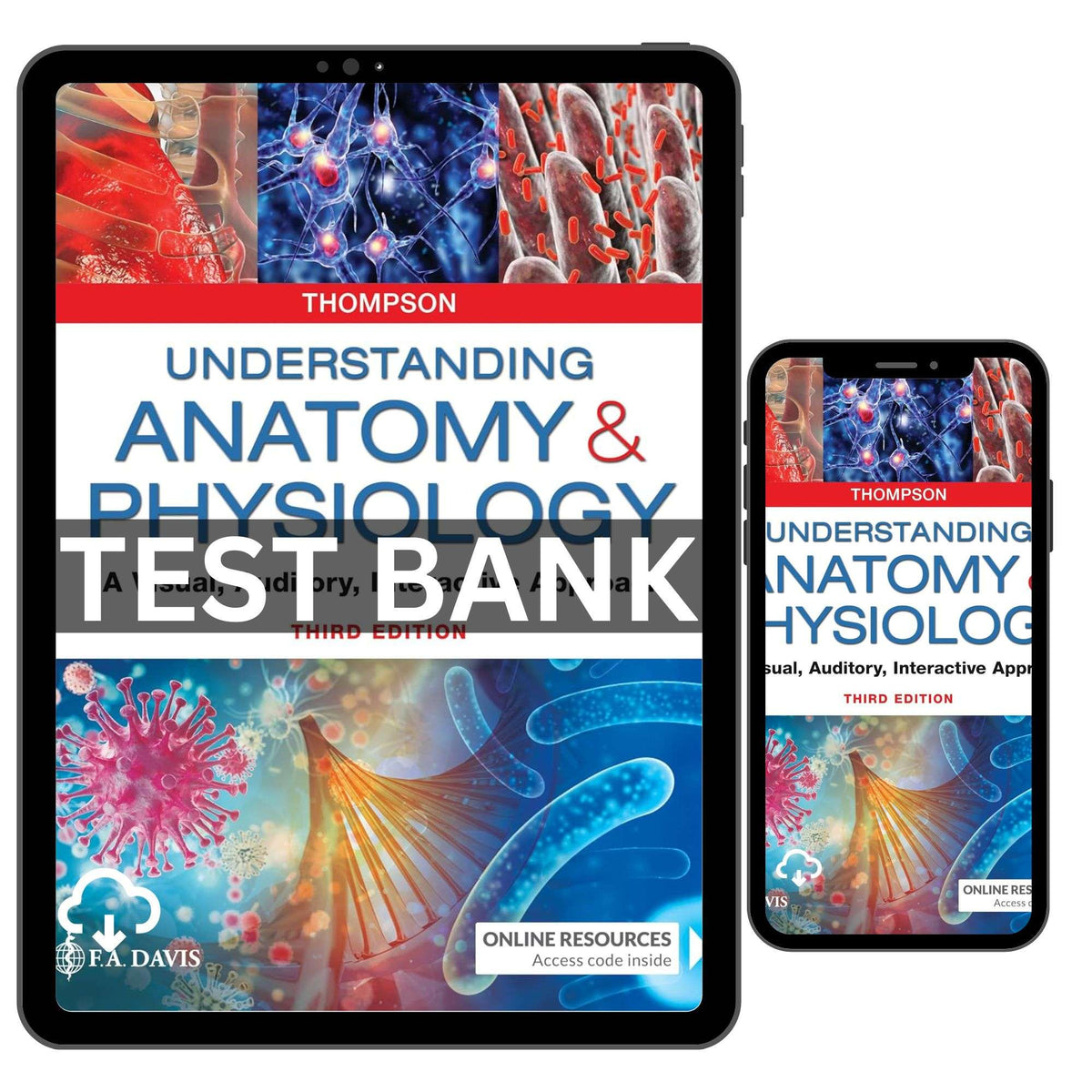 Test Bank Understanding Anatomy & Physiology: A Visual, Auditory, Interactive Approach Third Edition