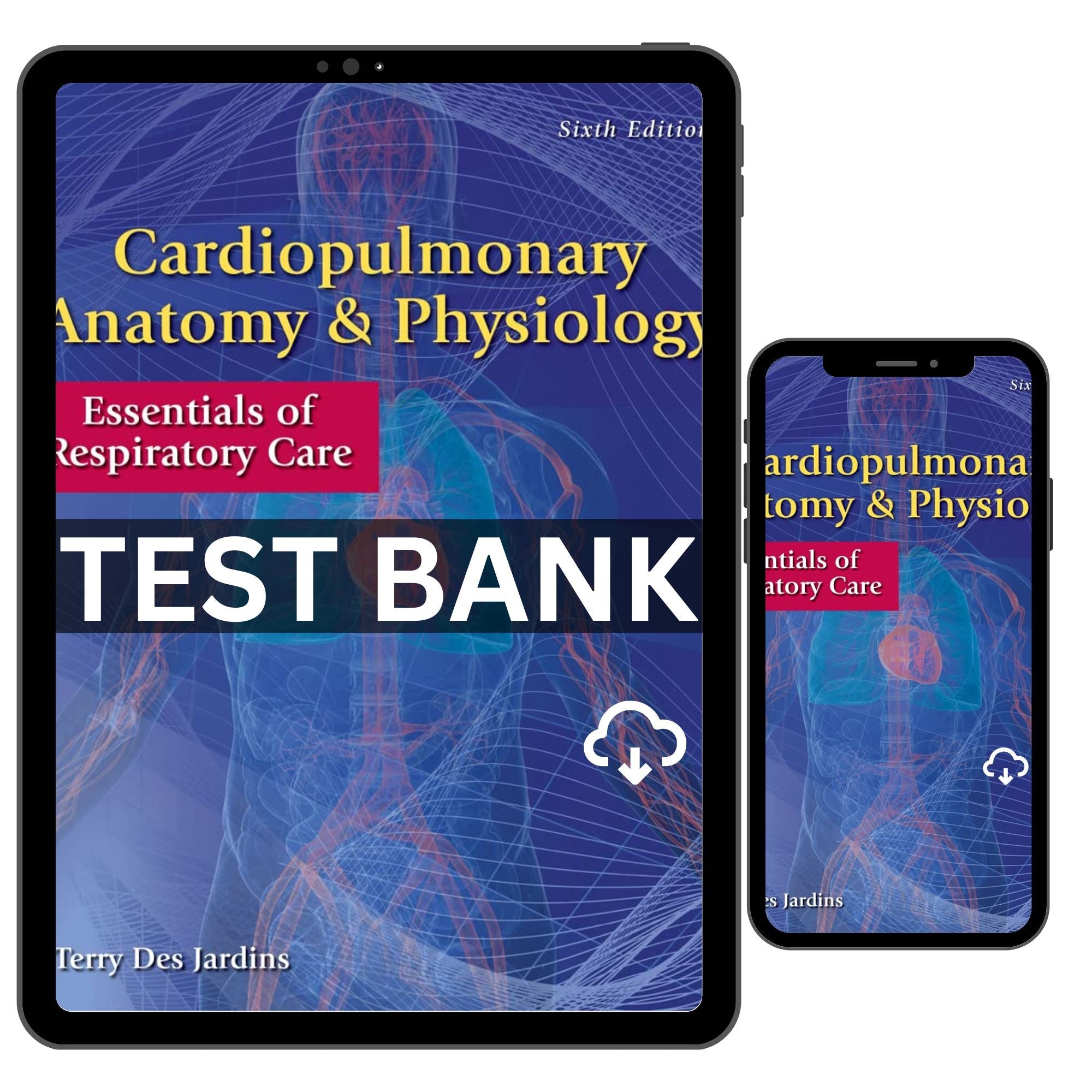 Cardiopulmonary Anatomy & Physiology Respiratory Care 6th - Nursello